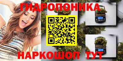 индика Ликино-Дулёво