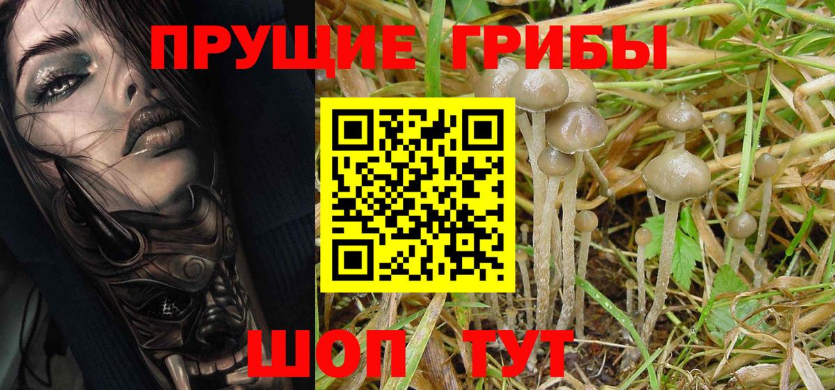 Псилоцибиновые грибы мухоморы Жуковский