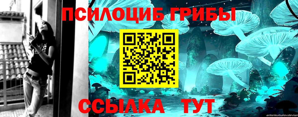 Жуковский  Псилоцибиновые грибы Magic Shrooms  Вход с VPN  Галлюциногенные грибы мицелий 